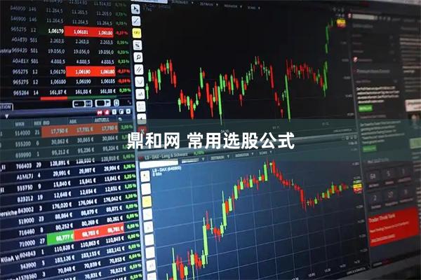鼎和网 常用选股公式