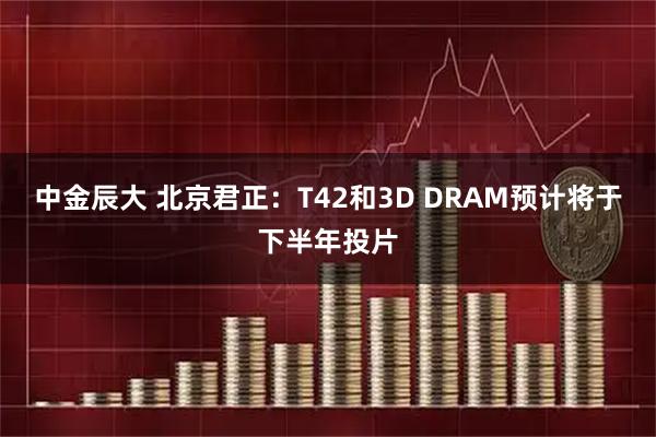 中金辰大 北京君正：T42和3D DRAM预计将于下半年投片