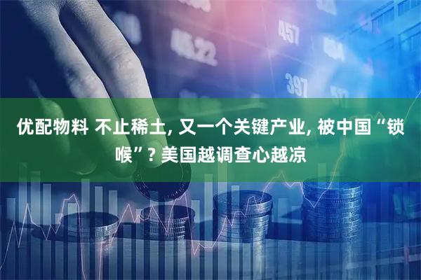 优配物料 不止稀土, 又一个关键产业, 被中国“锁喉”? 美国越调查心越凉