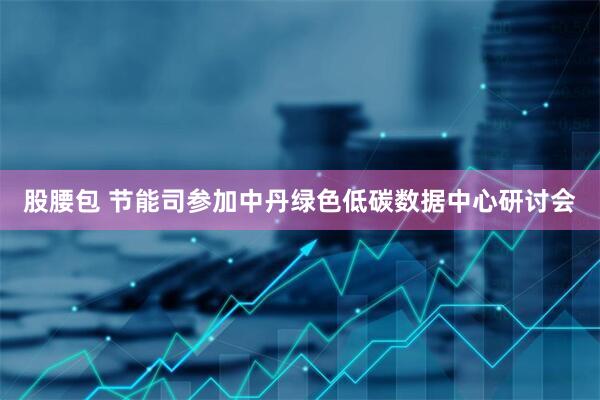 股腰包 节能司参加中丹绿色低碳数据中心研讨会