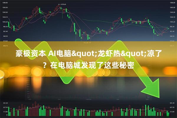 豪极资本 AI电脑"龙虾热"凉了？在电脑城发现了这些秘密