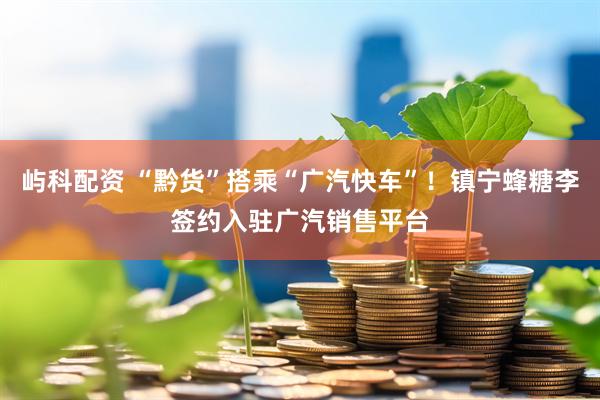 屿科配资 “黔货”搭乘“广汽快车”!镇宁蜂糖李签约入驻广汽销售平台